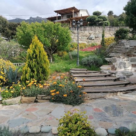 Pino Coin De Paradis Vue Dominante Sur Mer, Montagne Et Tour Genoise Avec Jacuzzi מראה חיצוני תמונה