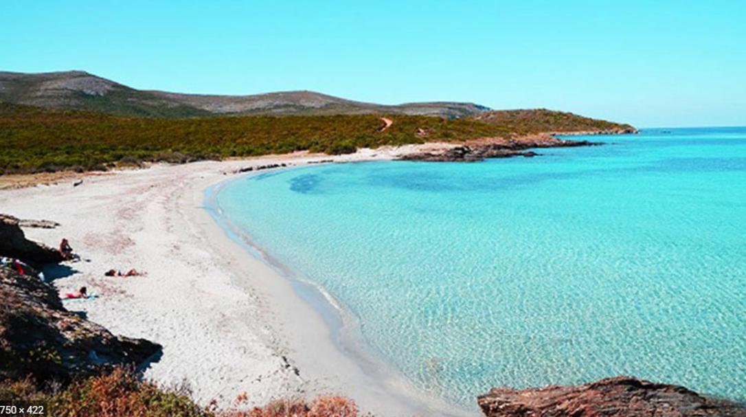 Pino Coin De Paradis Vue Dominante Sur Mer, Montagne Et Tour Genoise Avec Jacuzzi מראה חיצוני תמונה