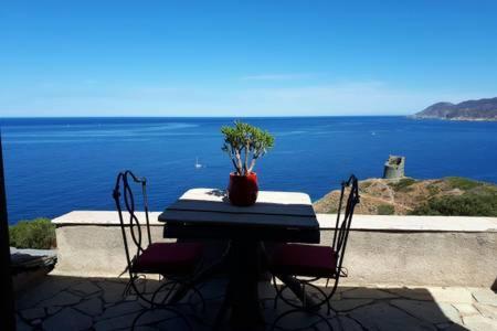Pino Coin De Paradis Vue Dominante Sur Mer, Montagne Et Tour Genoise Avec Jacuzzi מראה חיצוני תמונה