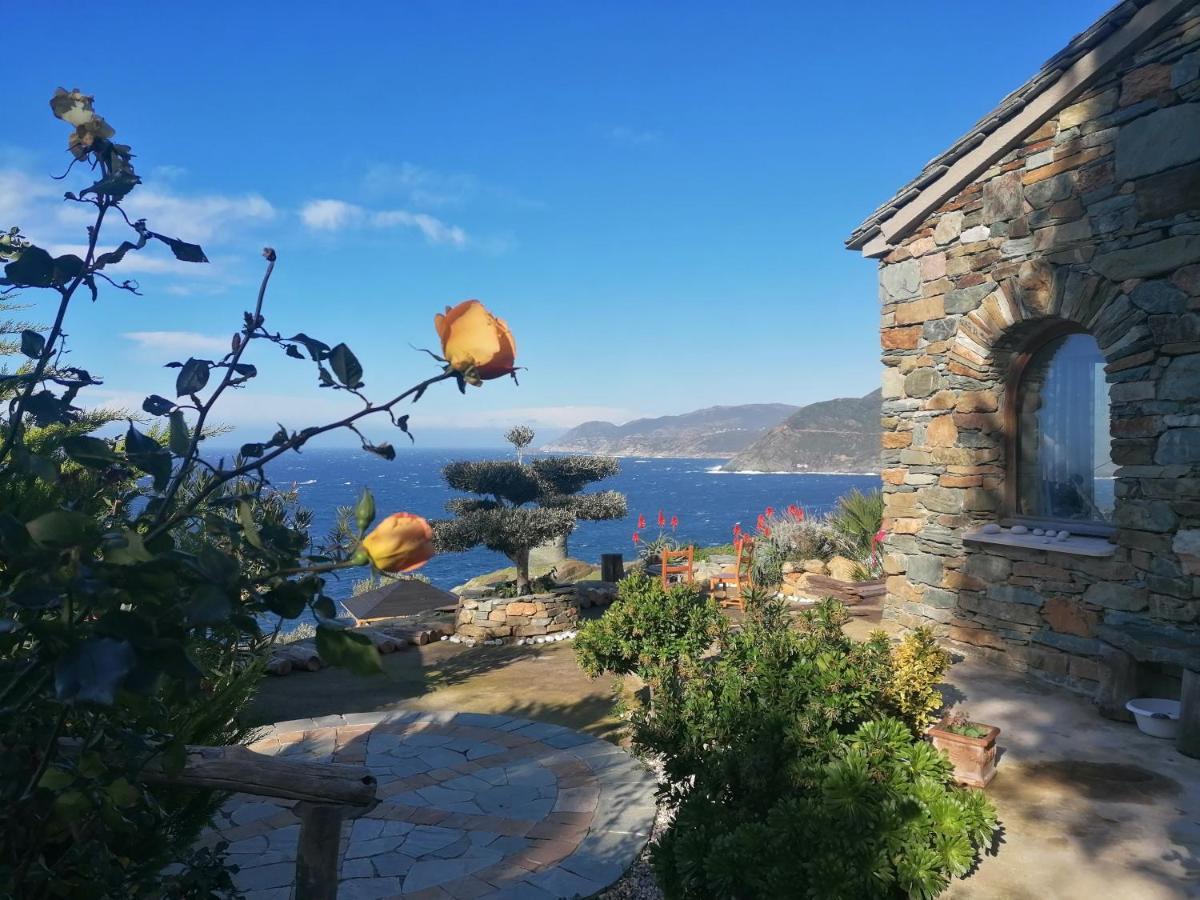 Pino Coin De Paradis Vue Dominante Sur Mer, Montagne Et Tour Genoise Avec Jacuzzi מראה חיצוני תמונה