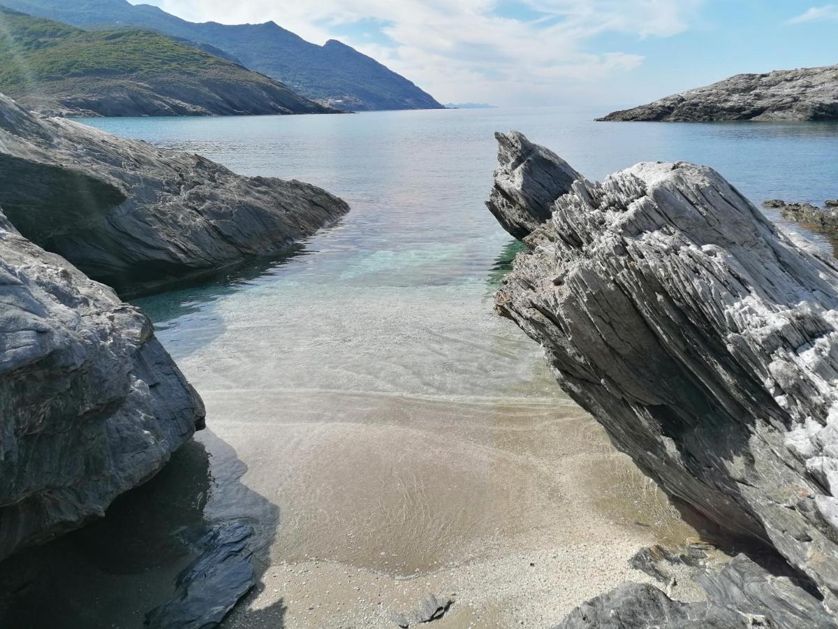 Pino Coin De Paradis Vue Dominante Sur Mer, Montagne Et Tour Genoise Avec Jacuzzi מראה חיצוני תמונה