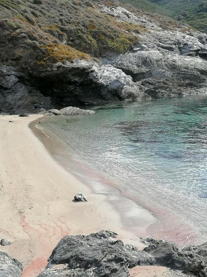 Pino Coin De Paradis Vue Dominante Sur Mer, Montagne Et Tour Genoise Avec Jacuzzi מראה חיצוני תמונה