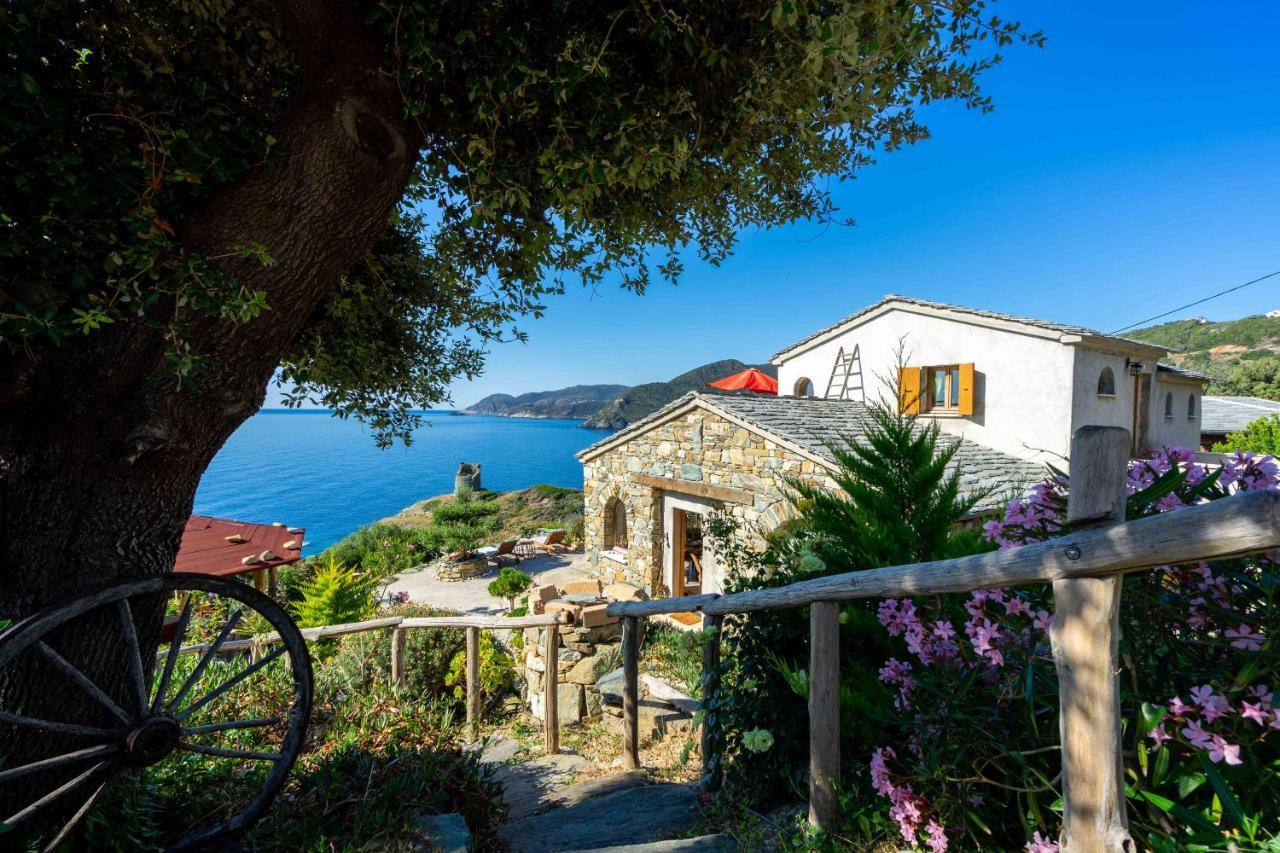Pino Coin De Paradis Vue Dominante Sur Mer, Montagne Et Tour Genoise Avec Jacuzzi מראה חיצוני תמונה