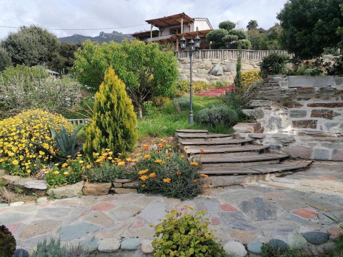 Pino Coin De Paradis Vue Dominante Sur Mer, Montagne Et Tour Genoise Avec Jacuzzi מראה חיצוני תמונה